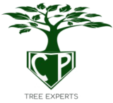 CP Tree Experts